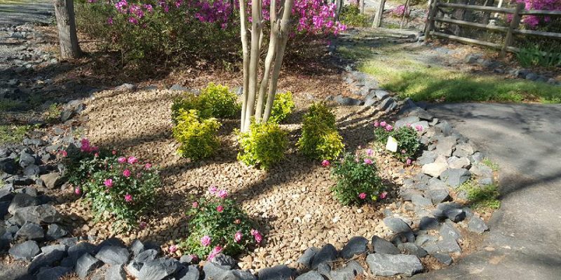 Landscape Design in York, South Carolina